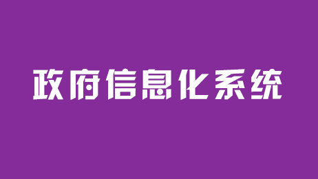 政府信息化系統